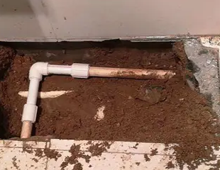 潮安测漏水哪家好