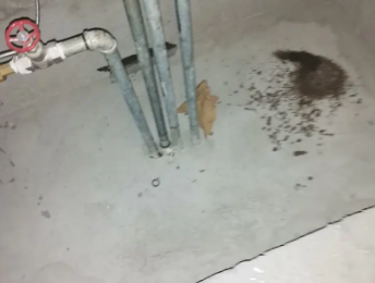 潮安卫生间测漏水价格明细